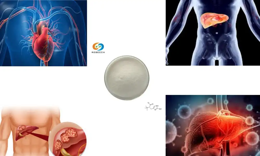 What are the roles and functions of ergothioneine in metabolic diseases?